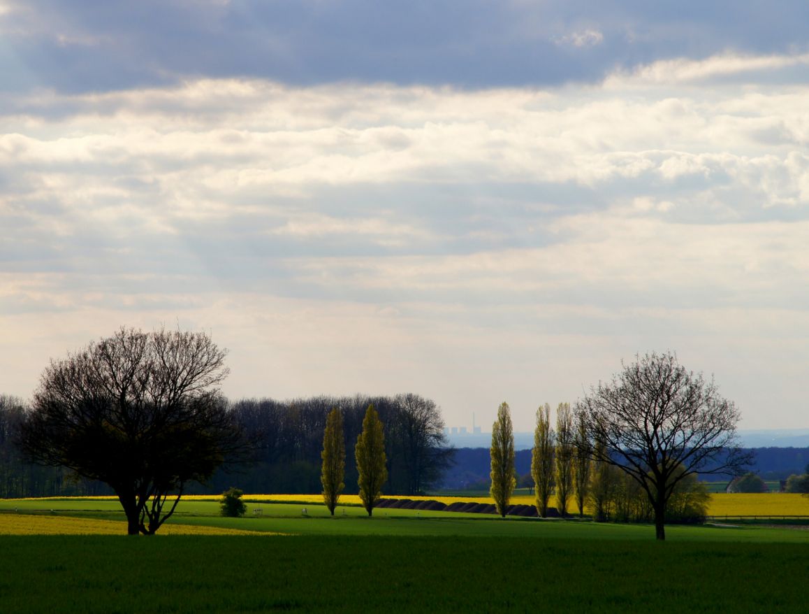 Paderborner Land | Jessica Schweda